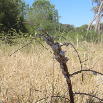 chiocciole