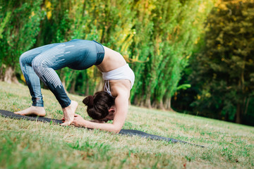 Fototapeta premium Slim young woman staying on green grass in Elbow Bridge