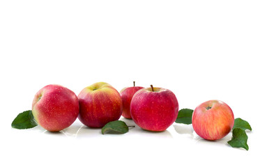 Ripe red juicy apples and leaves apple tree on white background