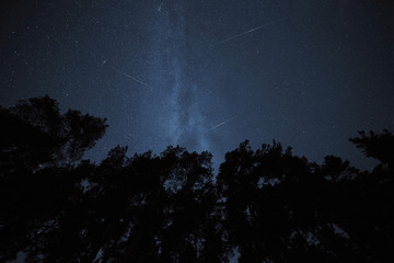 Fototapeta na wymiar Stars in night sky 