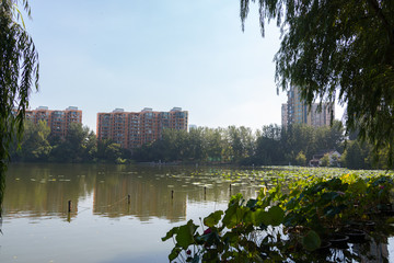 Parque Natural Nanjing Chima