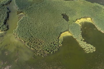 Swampy lake, aerial photography, on a summer day, background image