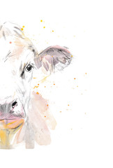 Vector illustration of a watercolor половина морды cow. Cow isolated on white background. Фронтальная голова коровы.