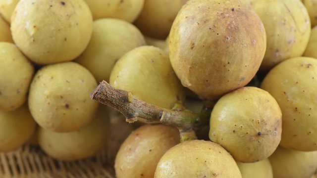 Fresh longkong fruit rotation