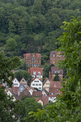 Fototapeta na wymiar German houses surrounded by forest