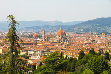 Fototapeta na wymiar Landscape view of the historic buildings of Florence, Italy on a sunny day.