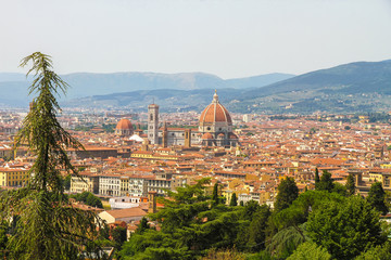 Fototapeta premium Landscape view of the historic buildings of Florence, Italy on a sunny day.