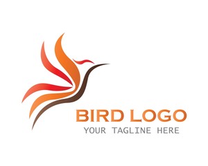 bird logo concept