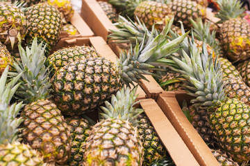 Fototapeta premium fresh sweet pineapple. cardboard boxes with pineapple. tropical fruit in the store.