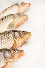 Fresh river fish in the supermarket refrigerator. The perch is frozen. Useful protein food.
