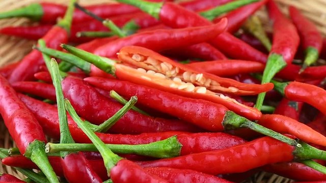 red chili pepper rotation