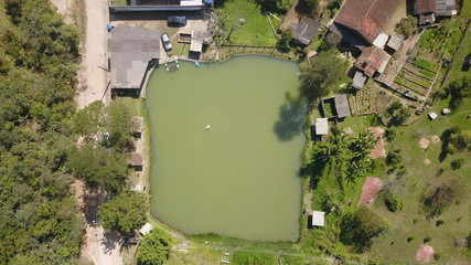 garça pescando