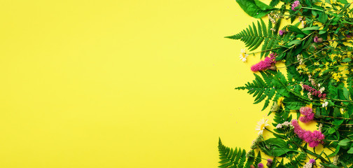 Wild summer flower on yellow background. Creative flat layout pattern with copy space, top view....