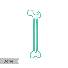Vector illustration of bone marrow