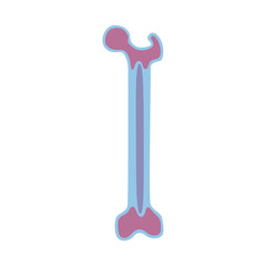 Vector illustration of bone marrow