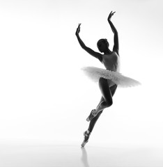 graceful plastic ballerina - obrazy, fototapety, plakaty