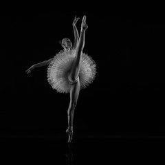 Ballerina in a tutu with a raised leg