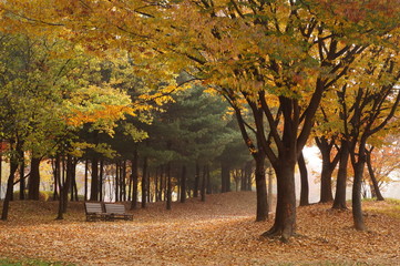 Naklejka premium ワールドカップ公園