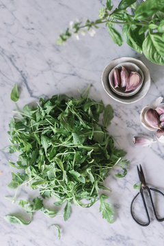 Fresh green rucula on marble table
