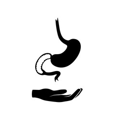 Vector isolated illustration of stomach