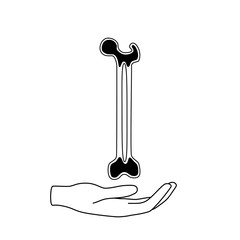 Vector illustration of bone marrow