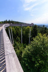 Obraz premium Waldwipfelweg Sankt Englmar