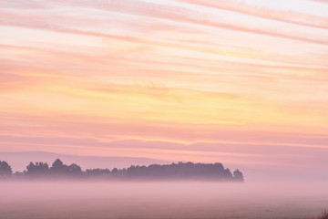 picturesque view of valley with trees at foggy sunrise
