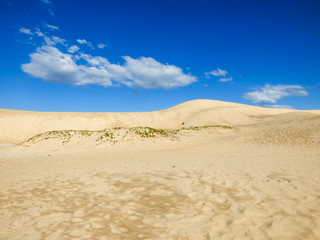 Fototapeta na wymiar Sand dunes at Ingleses beach against blue sky - Florianopolis, Brazil