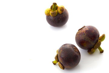 fruits mangosteen on white background