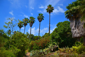 Fototapeta na wymiar Botanical garden Marimurtra. Blanes. Spain. Costa Brava. Beautiful view. 