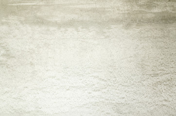 Fototapeta premium cement background in gray