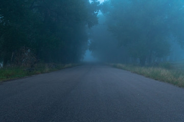 A Foggy Road Leading into the Unknown