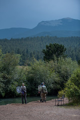 Obraz premium Mountain Pines