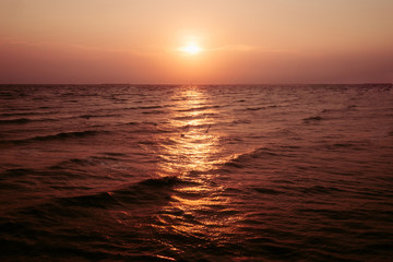 Fototapeta premium Vintage pastel sweet sunset sunrise twilight sky with seagull bird over the ocean.