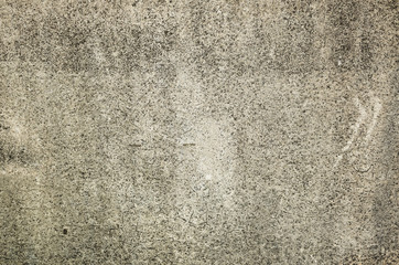 Fototapeta premium mildewed wall background