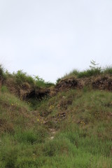 path in the dunes