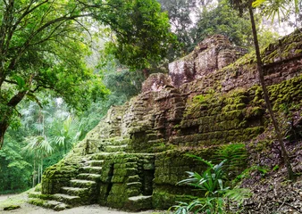 Photo sur Plexiglas Rudnes Tikal