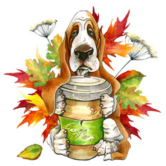 Dog breed Basset Hund. holding a glass of coffee. autumn leaves. Cute puppy.