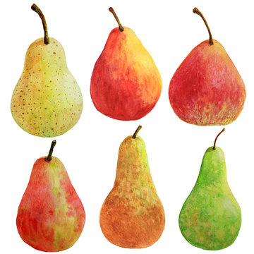 Ripe red yellow and green pear fruit painted with watercolor on white background
