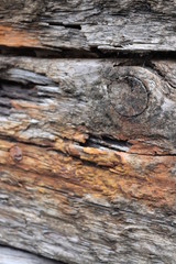 texture of wood