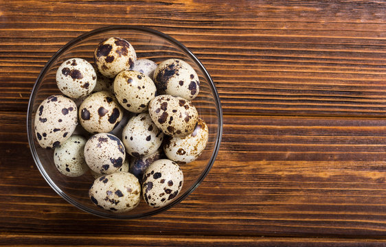 Raw qail eggs background