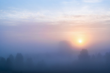 picturesque view of valley with trees at foggy sunrise
