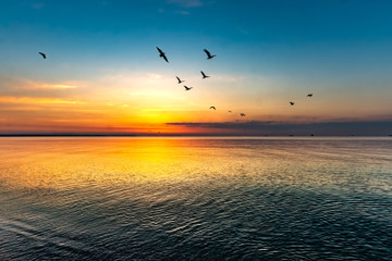 Fototapeta na wymiar Beautiful sunrise with birds at the sea