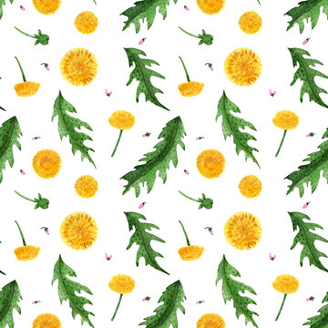 Watercolor seamless pattern of dandelion flowers and leaves