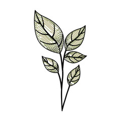 branch with leafs ecology icon vector illustration design