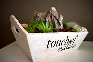 Touch of Nature