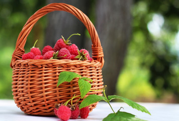 Fresh ripe raspberries in a wicker basket on the table