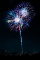 This Tamagawa fireworks display will be held in the riverbed of Tama River which flows between Tokyo and Kanagawa prefecture of Japan. The colorful fireworks are very beautiful.