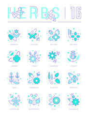 Set Blue Line Icons of Herbs