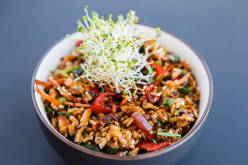 Plate of wok vegetable rice with microgreen on the dark background